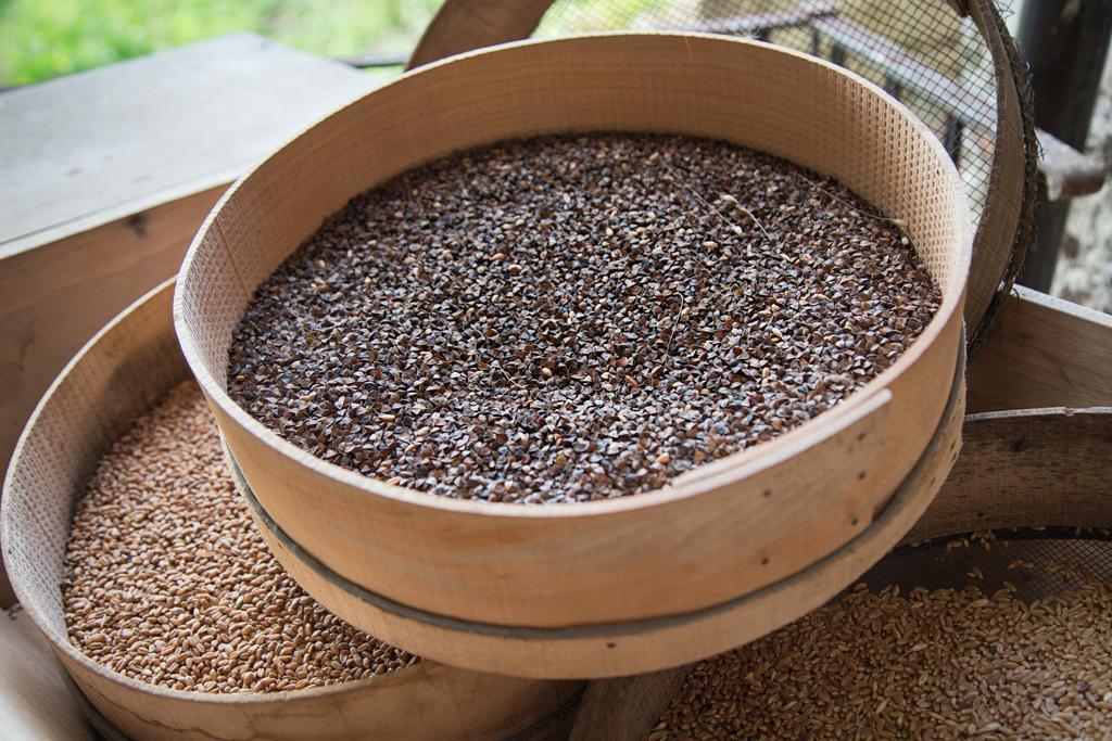 הוילה Le Pioppe Don Carlo Agriturismo Di Charme Bio מראה חיצוני תמונה