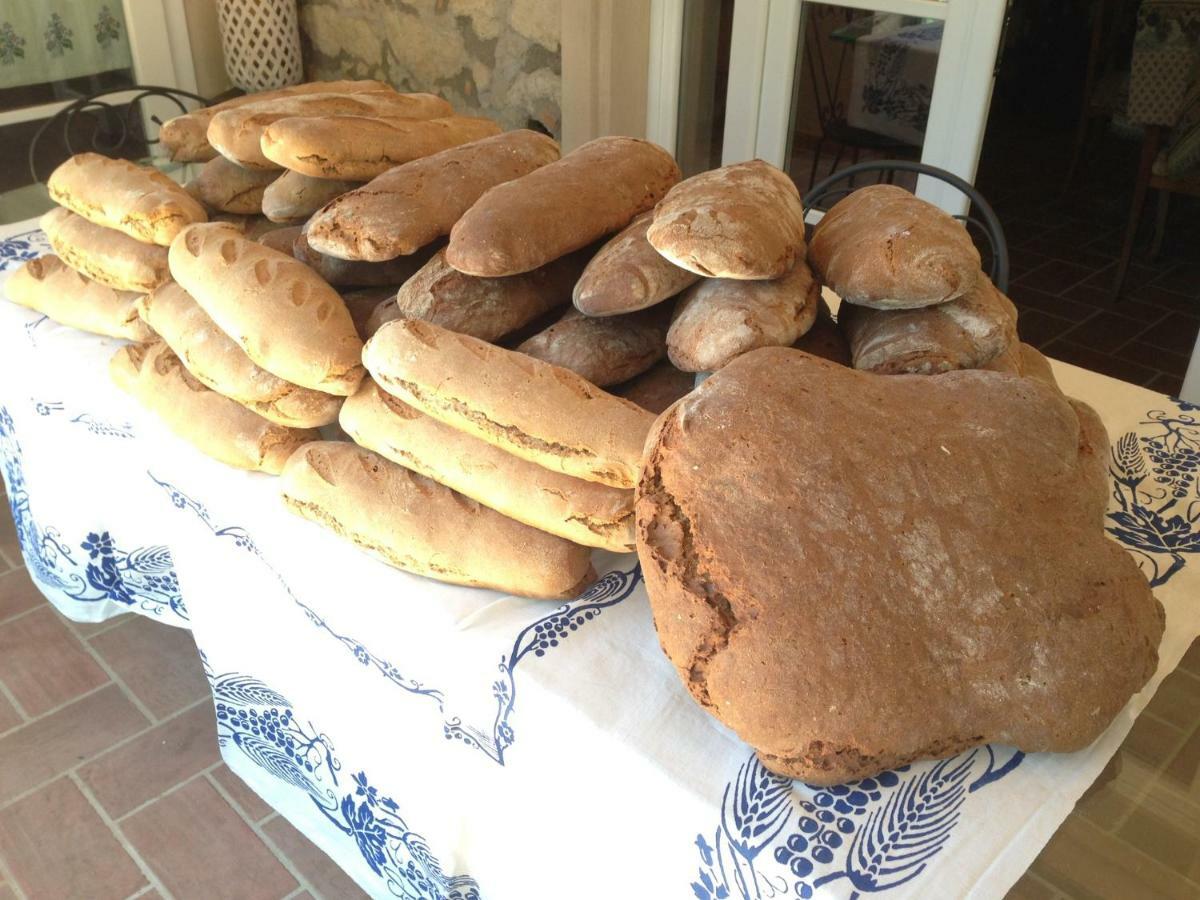 הוילה Le Pioppe Don Carlo Agriturismo Di Charme Bio מראה חיצוני תמונה