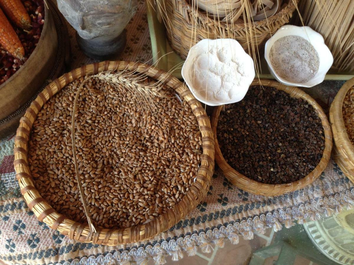 הוילה Le Pioppe Don Carlo Agriturismo Di Charme Bio מראה חיצוני תמונה